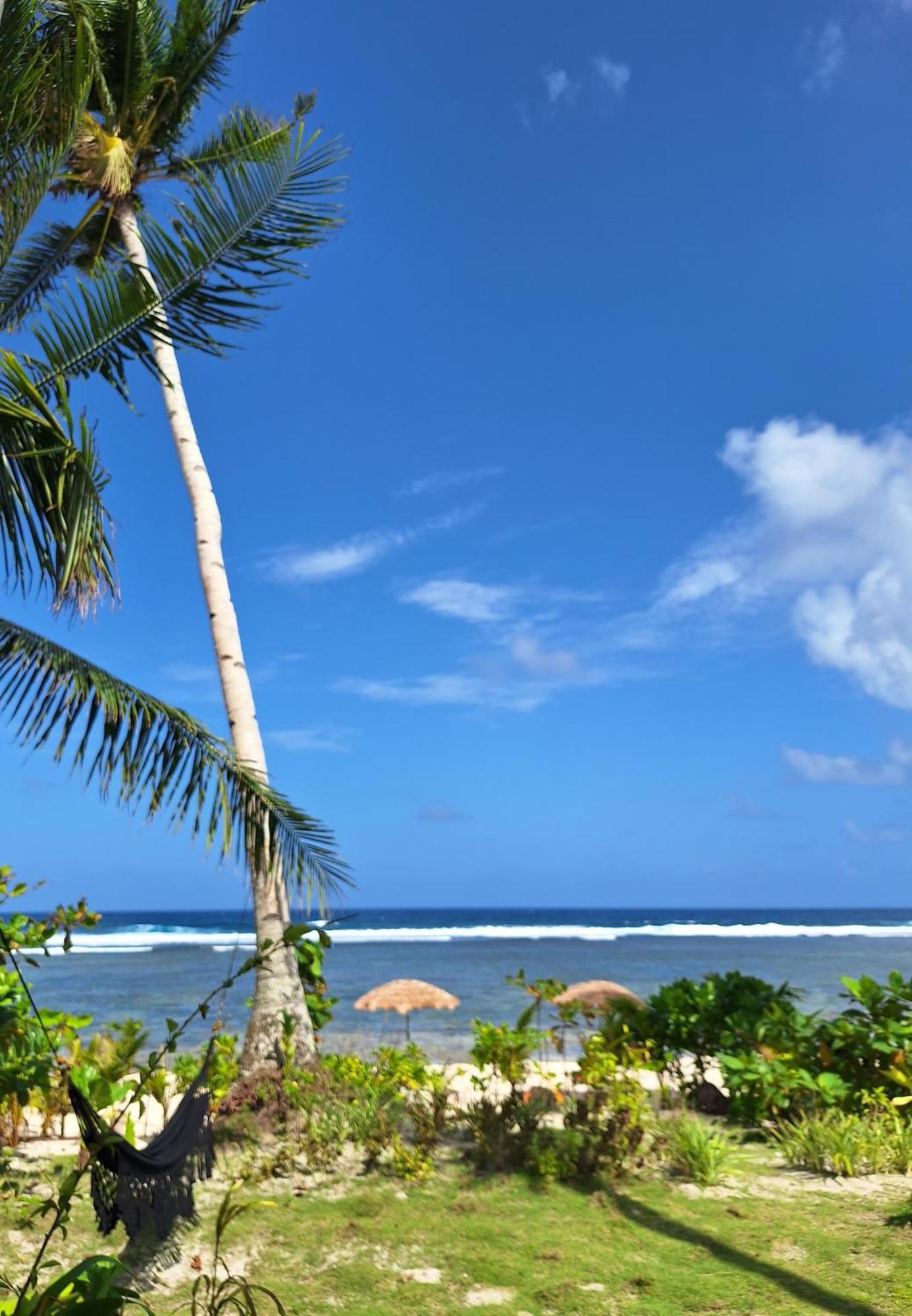 Bamboo Surf Beach San Isidro  Exterior photo