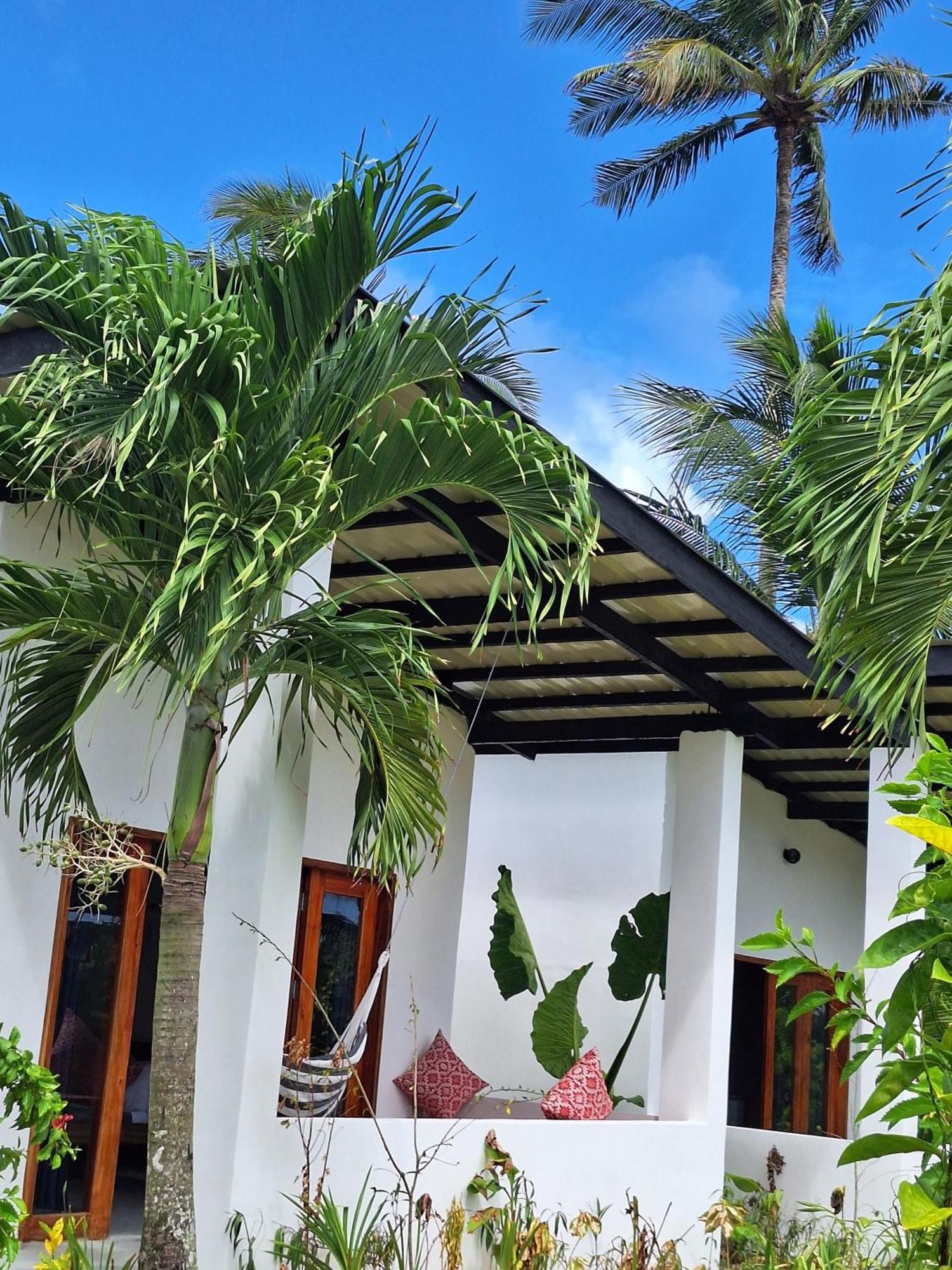 Bamboo Surf Beach San Isidro  Exterior photo